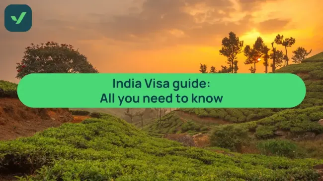 Exploring India Visa Options for Bolivian Travelers